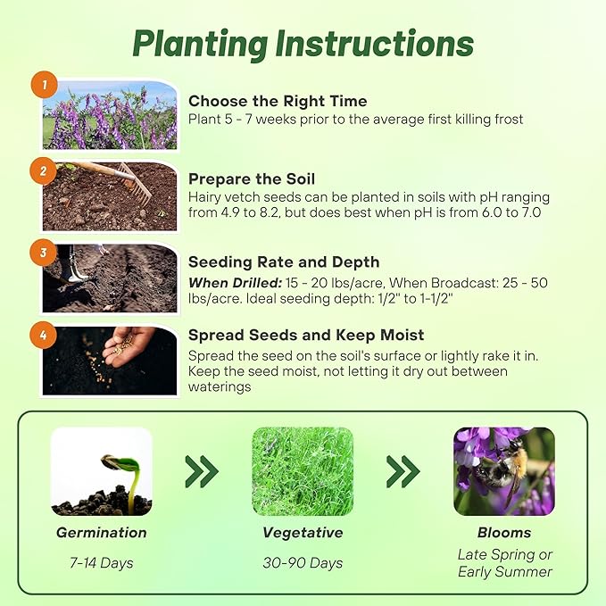 Outsidepride Hairy Vetch Cover Crop Seeds - 50 Lbs Cold Tolerant, Winter Hardy - Ideal for Soil Improvement, Green Pasture, Hay & Livestock Forage - Pollinator Friendly Garden Seeds, Ground Cover