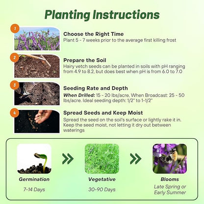 Outsidepride Hairy Vetch Cover Crop Seeds - 50 Lbs Cold Tolerant, Winter Hardy - Ideal for Soil Improvement, Green Pasture, Hay & Livestock Forage - Pollinator Friendly Garden Seeds, Ground Cover