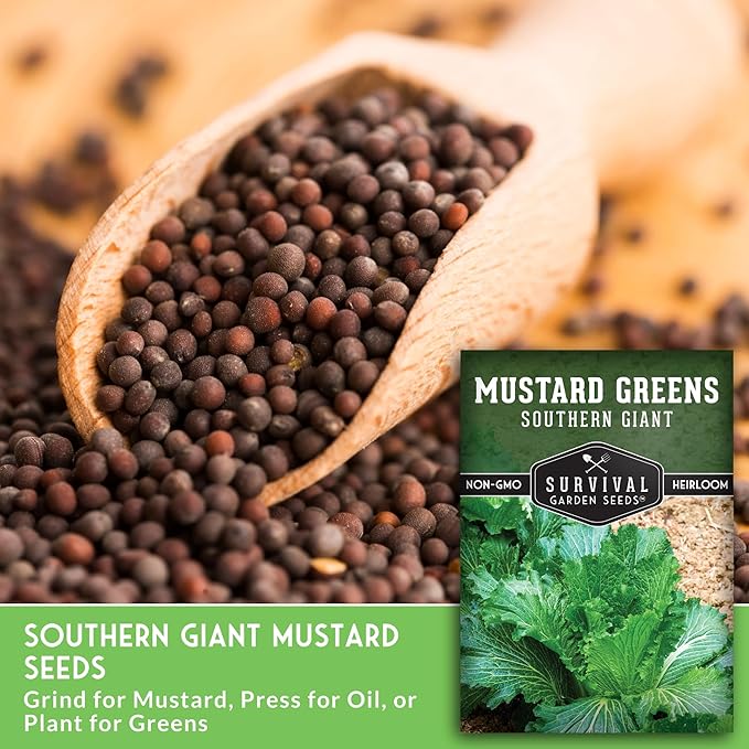 Southern Giant Mustard Green Seeds for Planting – Heirloom Non-GMO Spicy Greens, Heat Tolerant and Slow to Bolt for Home Vegetable Gardens - Survival Garden Seeds (2 Packs)