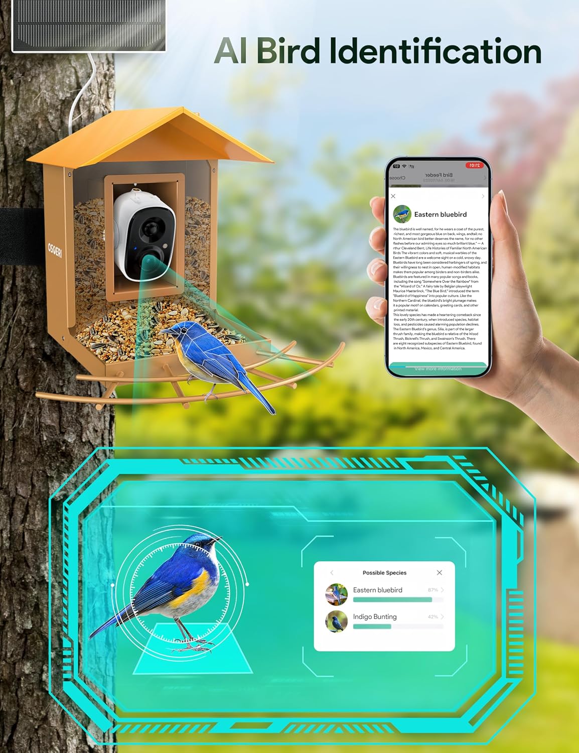 Osoeri Bird Feeder with Camera, Camera Bird Feeder for Outside, Solar-Powered, Smart AI Identify Birds, Auto Capture Video & Instant Arrival Alert, Ideal Gift for Family and Birdlover