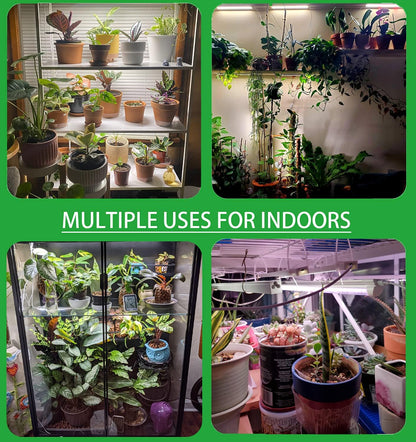 Plant Lights for Indoor Plants, Full Spectrum Growing Lamps for Indoor Plants, Auto On & Off Timer, 10 Dimmable Levels Grow Light Strip for Hydroponic Succulent Seedling (2 Strips x 2pcs)