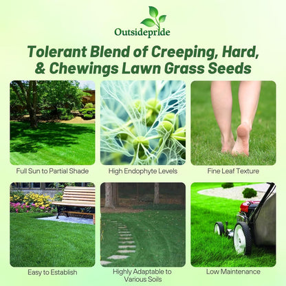 Outsidepride Legacy Fine Fescue Grass Seed Mix - 50 lbs. Shade & Sun Tolerant Blend of Hard Fescue, Chewings Fescue & Creeping Red Fescue with OptiGrowth Coating for Better Establishment