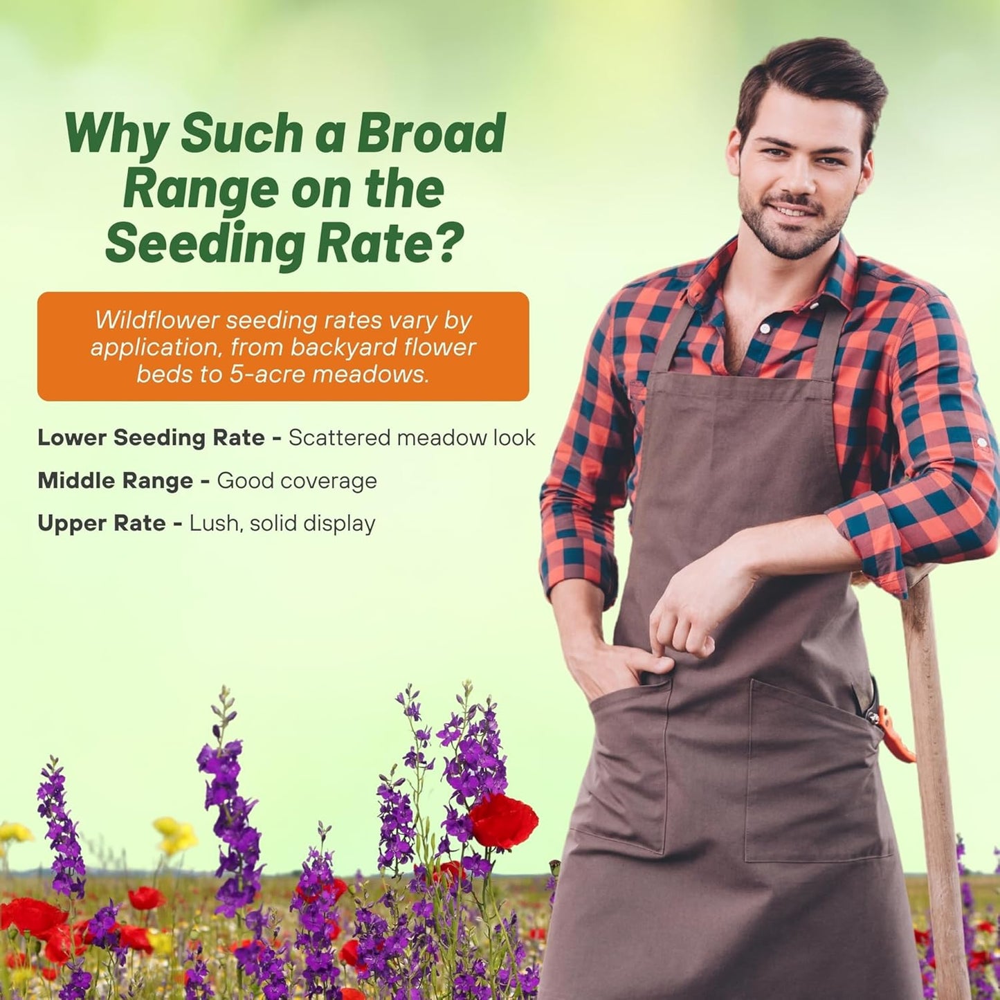 Outsidepride Partial Shade Wild Flower Seed Mix for All States - 1 lb. Premium Blend of Annual & Perennial Wildflowers, Perfect for Partial Shade Areas, & Outdoor Planting for Gardens & Lawns