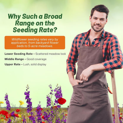 Outsidepride Partial Shade Wild Flower Seed Mix for All States - 1/4 lb. Premium Blend of Annual & Perennial Wildflowers, Perfect for Partial Shade Areas, & Outdoor Planting for Gardens & Lawns