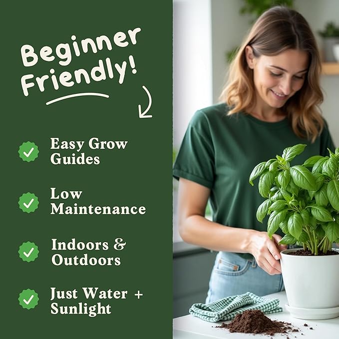 Seedboy 250 Organic Basil Seeds for Planting Indoor and Outdoor, Non-GMO and USDA Certified Herb Seed Packet for Hydroponic Garden Indoor or Planting Outdoors (Genovese Basil)