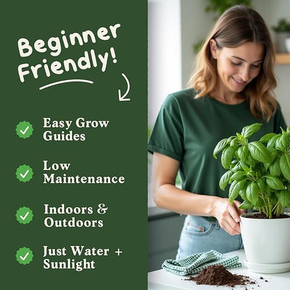 Seedboy 250 Organic Basil Seeds for Planting Indoor and Outdoor, Non-GMO and USDA Certified Herb Seed Packet for Hydroponic Garden Indoor or Planting Outdoors (Genovese Basil)