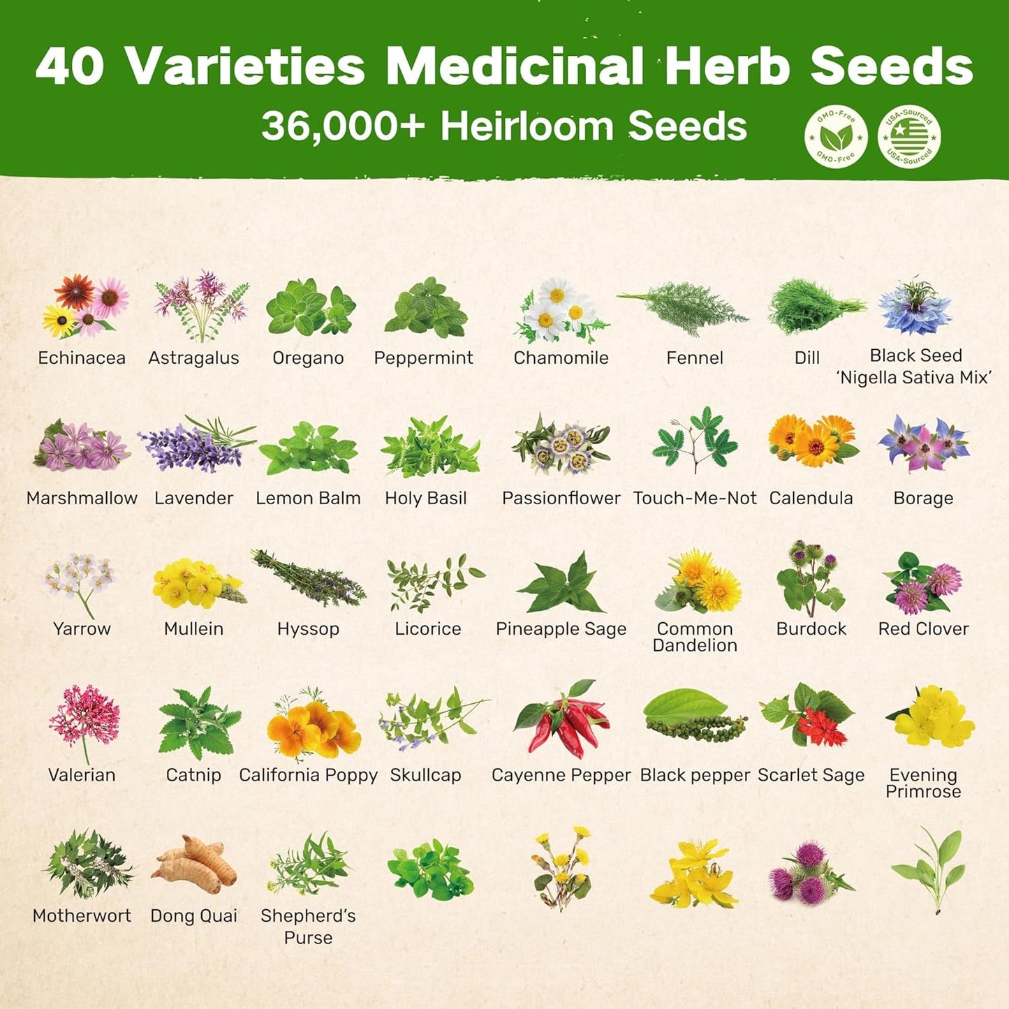 LUSH&DEW Medicinal Herb Apothecary Seed Chest, 40 Varieties 38,000+ Non-GMO Heirloom Seeds for Planting Herbs Hydroponics Windowsill, Gardening Gifts for Herbalists, Seed Kit for Herbal Tea Tinctures
