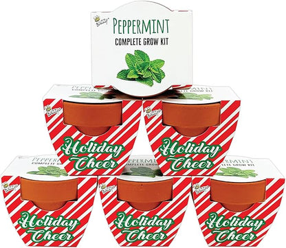 BUZZY Seeds Holiday Candy Cane Mini Terracotta Grow Pots, 6-Pack Peppermint Seeds, Indoor Plant Starter Kit, Stocking Stuffers, Party Favors Adults, for Kids