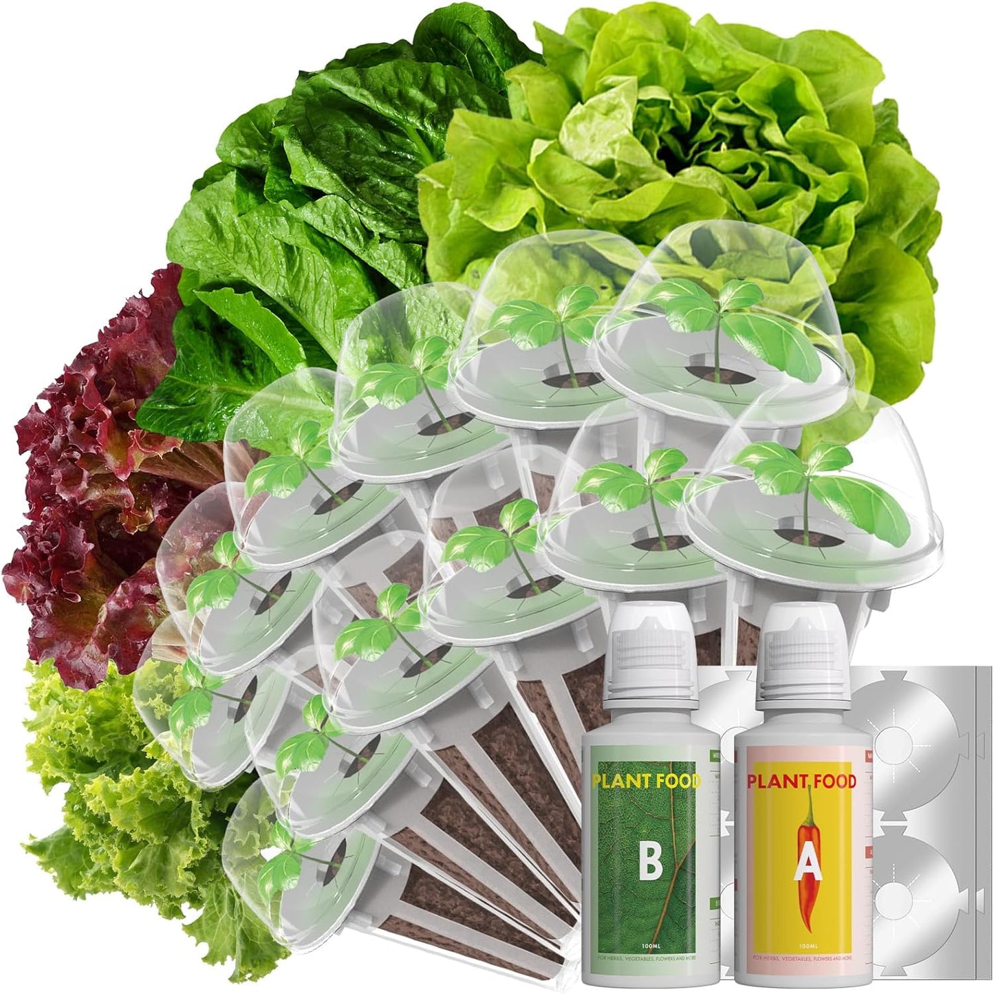 LYKOCLEAN Salad Romaine Lettuce Seed Pods for AeroGarden,Ahopegarden, iDOO Hydroponics Growing System,350 Seeds+ Including American Lettuce,Paris Island Cos Lettuce,Buttercrunch Lettuce (12-Pods)