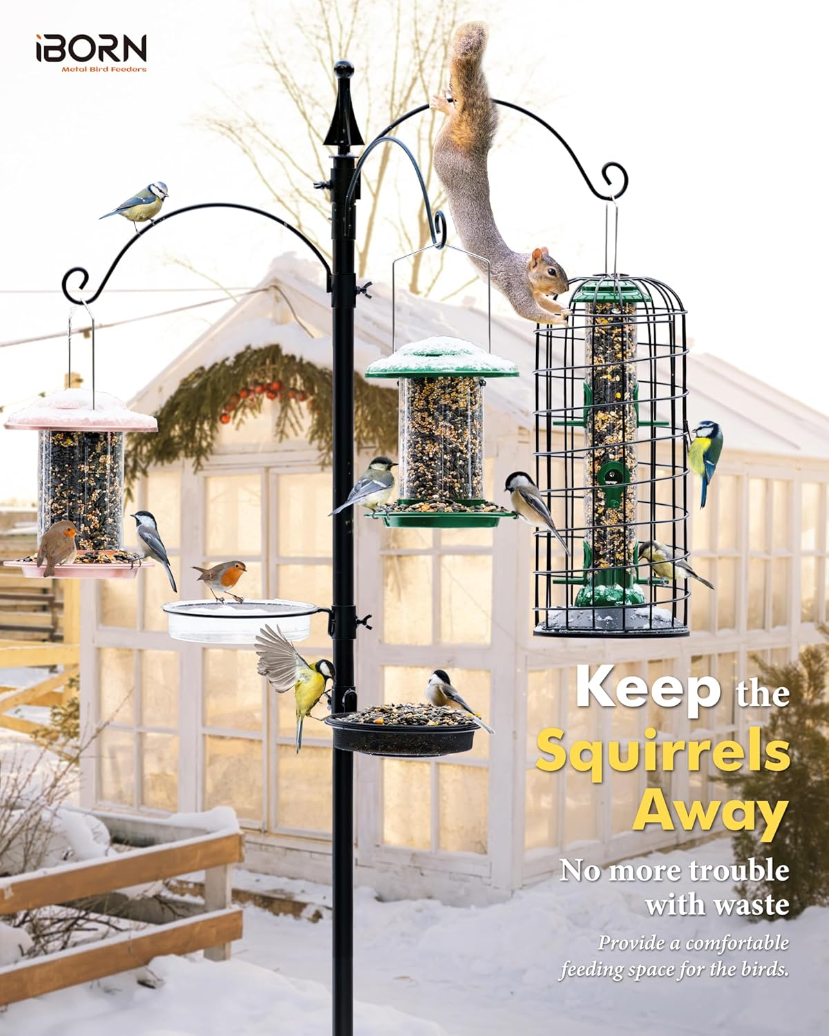 iBorn Squirrel Proof Pigeon Proof Bird Cage for Outside with Squirrel, Pestoff Hanging Wild Bird Seed Feeder for Mix Seed Blends, Heavy Duty All Metal Green 14 Inch