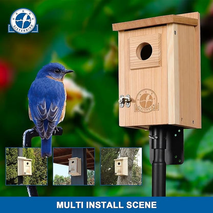 Bluebird Houses for Outside, Blue Bird Houses for Outdoors, Premium Bird House, Pack of 2 Bluebird House, Wooden Birdhouses Kits for Adults for Durable Yard Decor