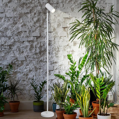 HMVPL White Grow Lights for Indoor Plants Full Spectrum,Tall Plant Light for Indoor Growing with 20W COB Plant Light Bulb,4/8/12H Timer,Led Growth Floor Lamp for Large Plant Seedling(6 Level Height)
