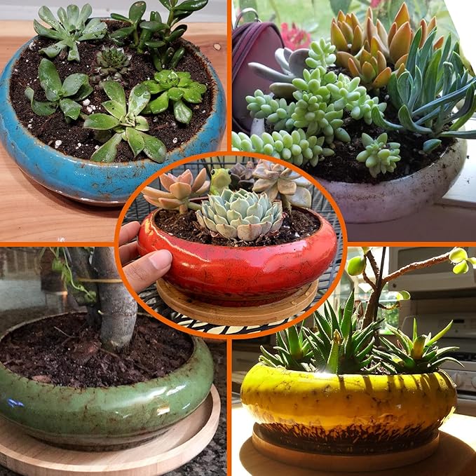 ARTKETTY Succulent Pots - 7.3 Inch Ceramic Bonsai Pot with Tray, Large Succulent Planters with Drainage, Shallow Planter for Indoor Cactus Plants Decorative Flower Plant Container Bowl