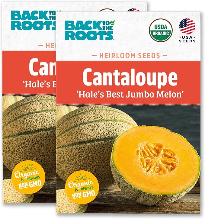 Back to The Roots 100% Organic Heirloom Seeds - Cantaloupe Melon Value Pack (2.4g Total)