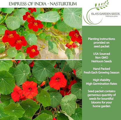 Empress of India Nasturtium Seeds (Tropaeolum nanum) – 50+ Heirloom Non-GMO Seeds by Isla’s Garden Seeds, Deep Crimson Blooms & Dark Green Foliage, Edible Flowers, Perfect for Gardens & Containers