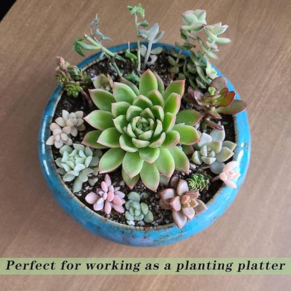 ARTKETTY Succulent Pots, 7.3 Inch Succulent Planters with Drainage Pack of 2, Shallow Bonsai Pot with Tray Ceramic Pots for Indoor Plants Large Cactus Flower Plant Bowl