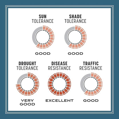 Pennington Smart Seed Northeast Grass Mix 7 lb