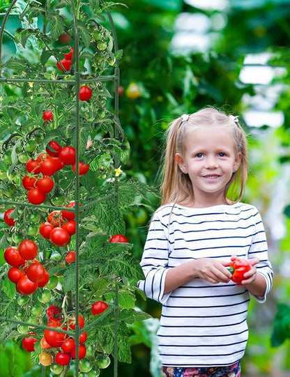 Garden Obelisk Trellis for Climbing Plants, 6FT Garden Obelisk Rustproof PE Coated Metal Potted Plant Climbing Support, Thickened Tube Plant Tower Trellis for Clematis Vine Support Indoor (2 Pack)