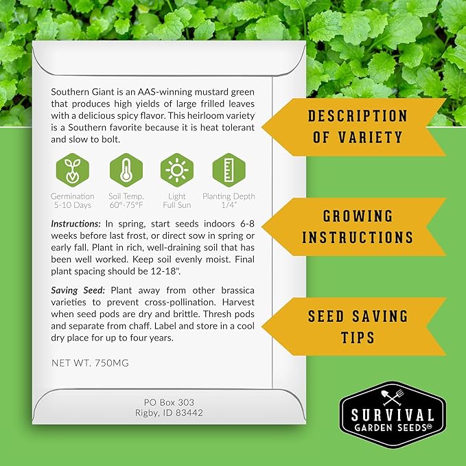 Southern Giant Mustard Green Seeds for Planting – Heirloom Non-GMO Spicy Greens, Heat Tolerant and Slow to Bolt for Home Vegetable Gardens - Survival Garden Seeds (3 Packs)