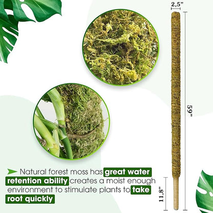 DUSPRO 59 Inches Non-Bendable Pole for Big Climbing Plants, Large Moss Pole for Monstera, Indoor Plant Stakes, Support (1pc., 59'')