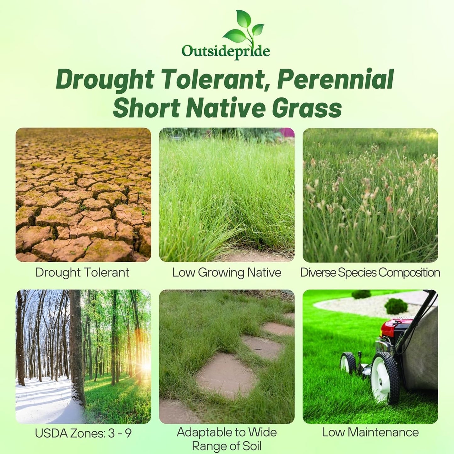 Outsidepride Perennial Short Native Grass Seed Mix - 25 lbs. Premium Mix of Blue Grama, Buffalo, Sideoats Grama, & Sheep’s Fescue Grass Seeds for Low-Maintenance, Heat & Drought-Tolerant Landscaping