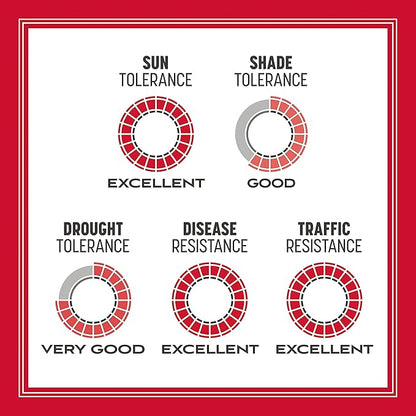 Pennington The Rebels Tall Fescue Grass Seed Mix 7 lb