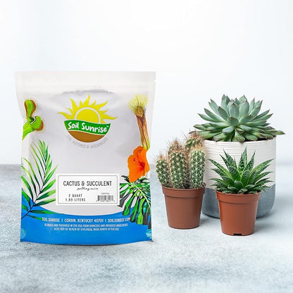 Cactus and Succulent Potting Mix (2 Quarts), Special Blend-Fast Draining and Desert-Style Gritty