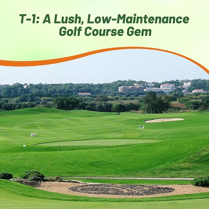 Outsidepride T-1 Creeping Bentgrass Seed - 25 lbs Fine-Bladed, Premium Quality Turf, Grass Seed for Smooth Surface, & High-Traffic Areas, Ideal Grass for Golf Courses Putting Greens, & Fairways