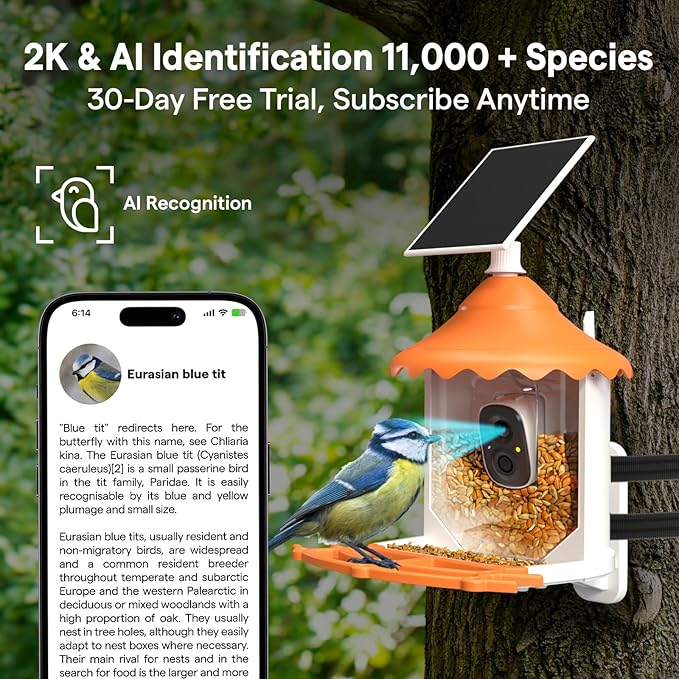 BirdsView Bird Feeder with 2K Ai Camera, Solar Panel, Hummingbird Feeder, Bird House, Live Alerts & Species Recognition – Ideal for Bird Lovers
