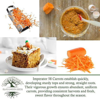 Imperator 58 Carrot Seeds (Daucus carota) – 500+ Non-GMO & Heirloom Seeds, Long and Sweet Carrots for Juicing, Fresh Eating, and Cooking, by Isla’s Garden Seeds, Great Gardening Gift