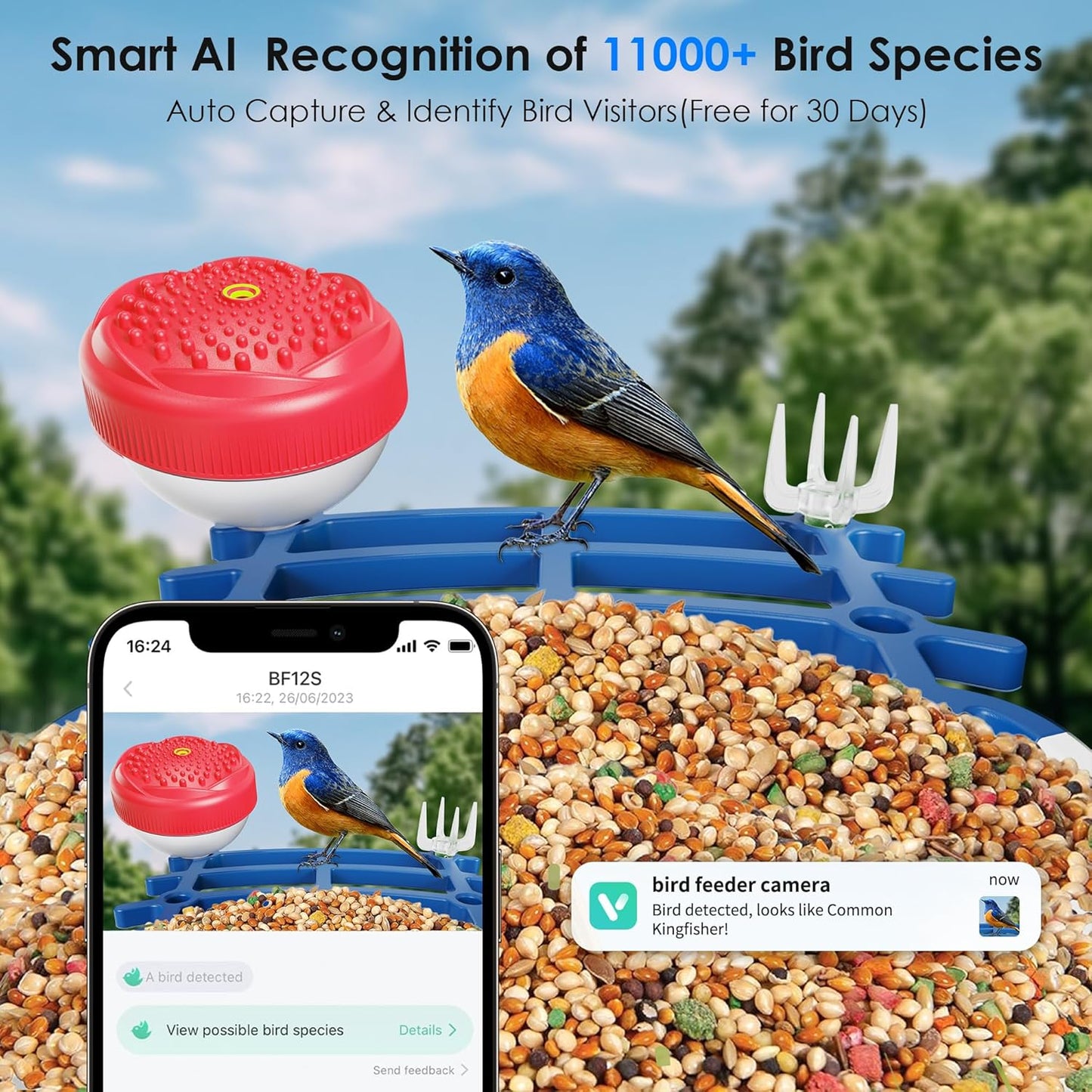 Smart Bird Feeder with 2.5K HD Camera – AI Bird Species Recognition, Solar-Powered, Live Alerts & Video Capture, Squirrel-Proof Outdoor Birdhouse, Gift for Nature Lovers