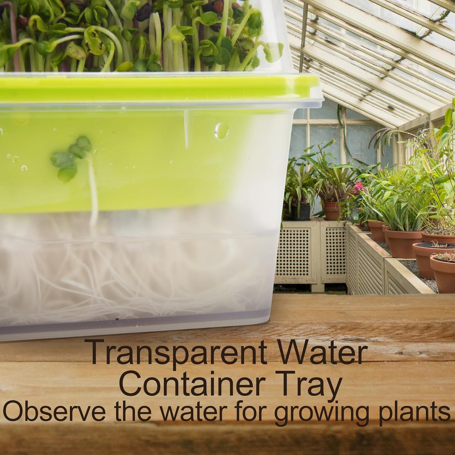 4 Pack Microgreen Growing Trays, Sprouting Tray with Humidity Dome, 1.2 mm Small Mesh Holes, BPA Free, Sprouter Kit for Growing Mirco Seeds, Like Broccoli, Alfalfa, Radish, Clover - Clear Base