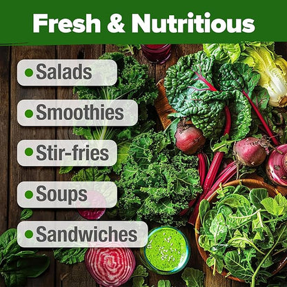 HOME GROWN Lettuce Seeds for Planting - 8 Varieties Non-GMO Heirloom Salad Greens Seeds - 9000+ USA-Sourced Vegetable Seeds for Planting Outdoors, Indoors, Hydroponic Garden