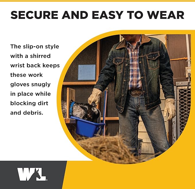 Wells Lamont Leather Work Gloves for Men – Grain Cowhide, Reinforced Palm – Ideal for Construction, Farming, Ranching – Ergonomic Fit, Keystone Thumb, Elasticized Wrist – Beige, Large (1130L)