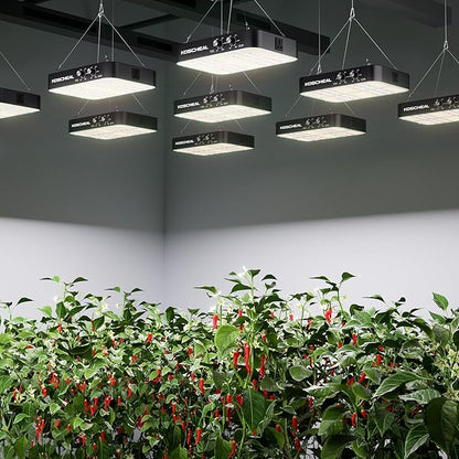KOSCHEAL 2025 Upgrade KC1600 Dimmable Plant Grow Light: 3 Modes (Veg, Bloom, Veg+Bloom), 0-100% Dual Knob Dimming, 2.9μmol/J PAR,LM301H EVO Grow Light,Daisy Chain, Built-in Fan