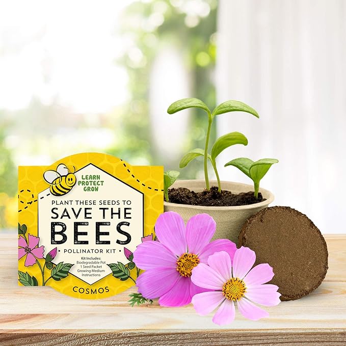 Buzzy Seeds Save The Bees Biodegradable Grow Kit | Herb, Plant, Flower Starter Kit for Kids & Adults | Assorted Wildflowers 12-Pack | Guaranteed to Grow | Best Indoor Grow Your Own Plant