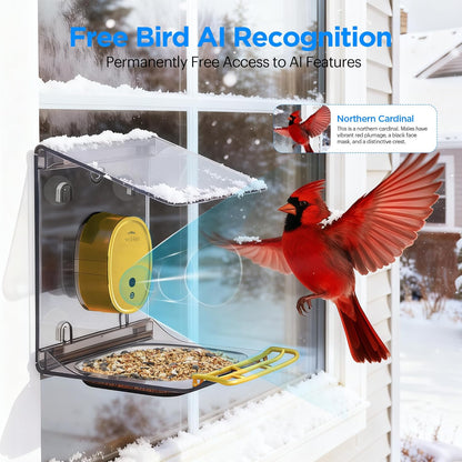Smart Bird Feeder with Camera Solar Powered,2K HD Video Live Stream,AI Identify Birds Species,Link via Signal Transmitter,5MP Photos,Instant Arrival Alerts,Motion Detect,Elderly-Friendly,Yellow