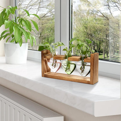 Plant Terrarium Propagation Stations Hydroponics Home Garden Decoration Gift for Women with Wooden Stand Heart Shaped Colored Glass Vase