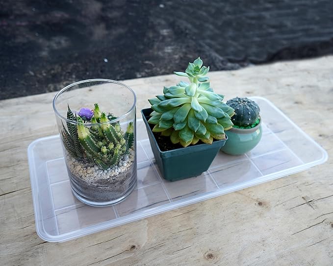 Plastic Plant Trays - 6 Pack Rectangular, Long Narrow Indoors Outdoor Plant Water Drip Trays for Flower Pot Planter, Windowsill (11 x 6 Inch, Clear)