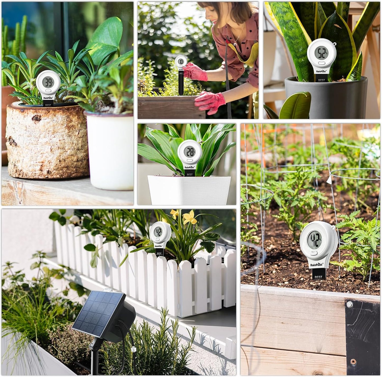 RAINPOINT Digital Compact Soil Moisture Meter for Indoor/Outdoor Plants, Soil Probe Hygrometer Sensor Tester Sets for Garden Lawn Farm, Easy Operation House Pot Plants Moisture Detector- 3 pcs