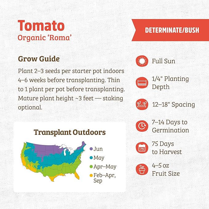 Back to The Roots 100% Organic Heirloom Seeds - Roma Tomato Seeds for Planting Value Pack (200mg Total)