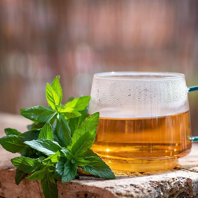 Back to The Roots 100% Organic Heirloom Seeds - Spearmint Value Pack (250mg Total)