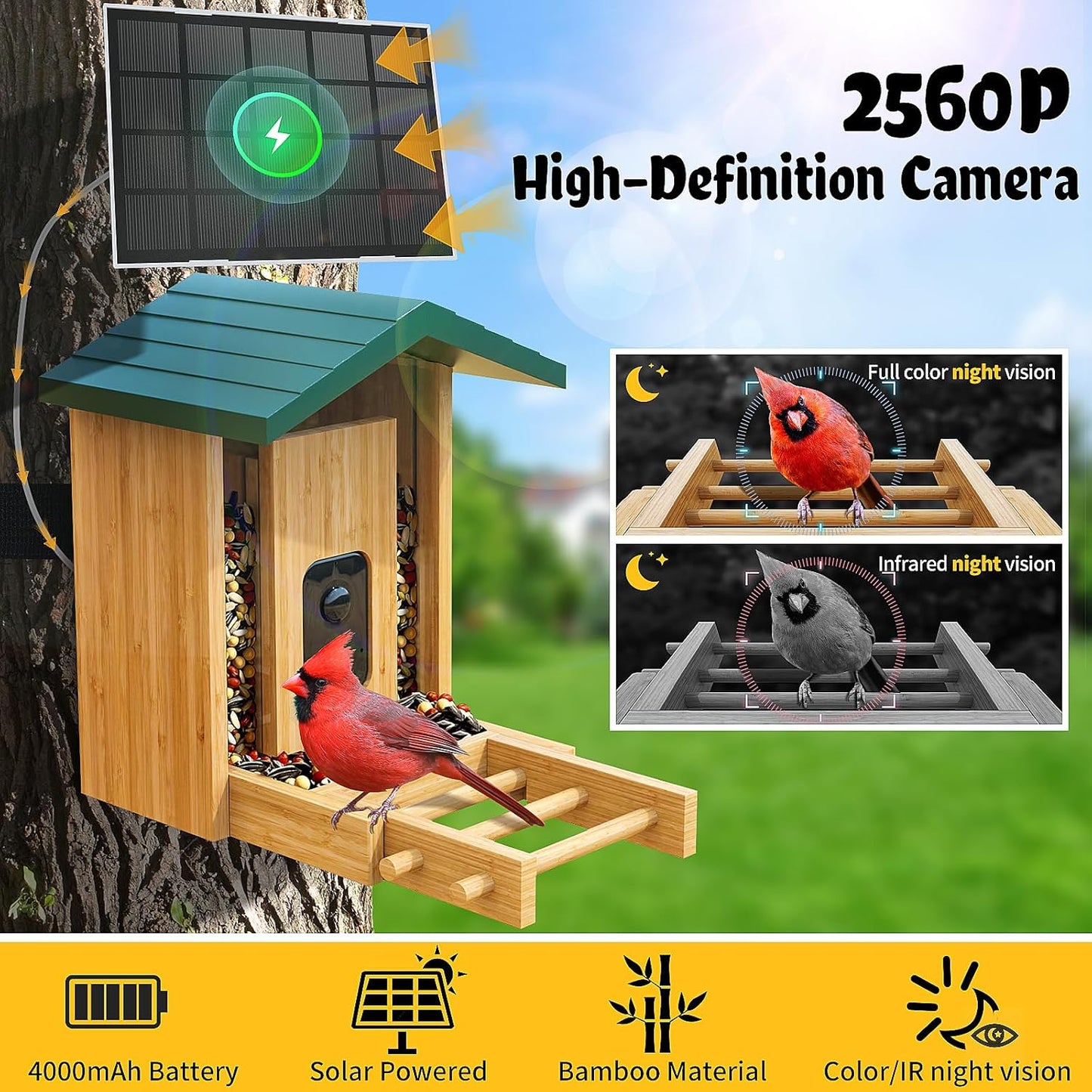 Smart Bird Feeder with Camera Solar-Powered, 5MP AI Identifies Birds 12000+, Color Night Vision, Auto Capture Bird & Motion Detection for Watching, Waterproof Birdfeeders for Outdoors, Garden