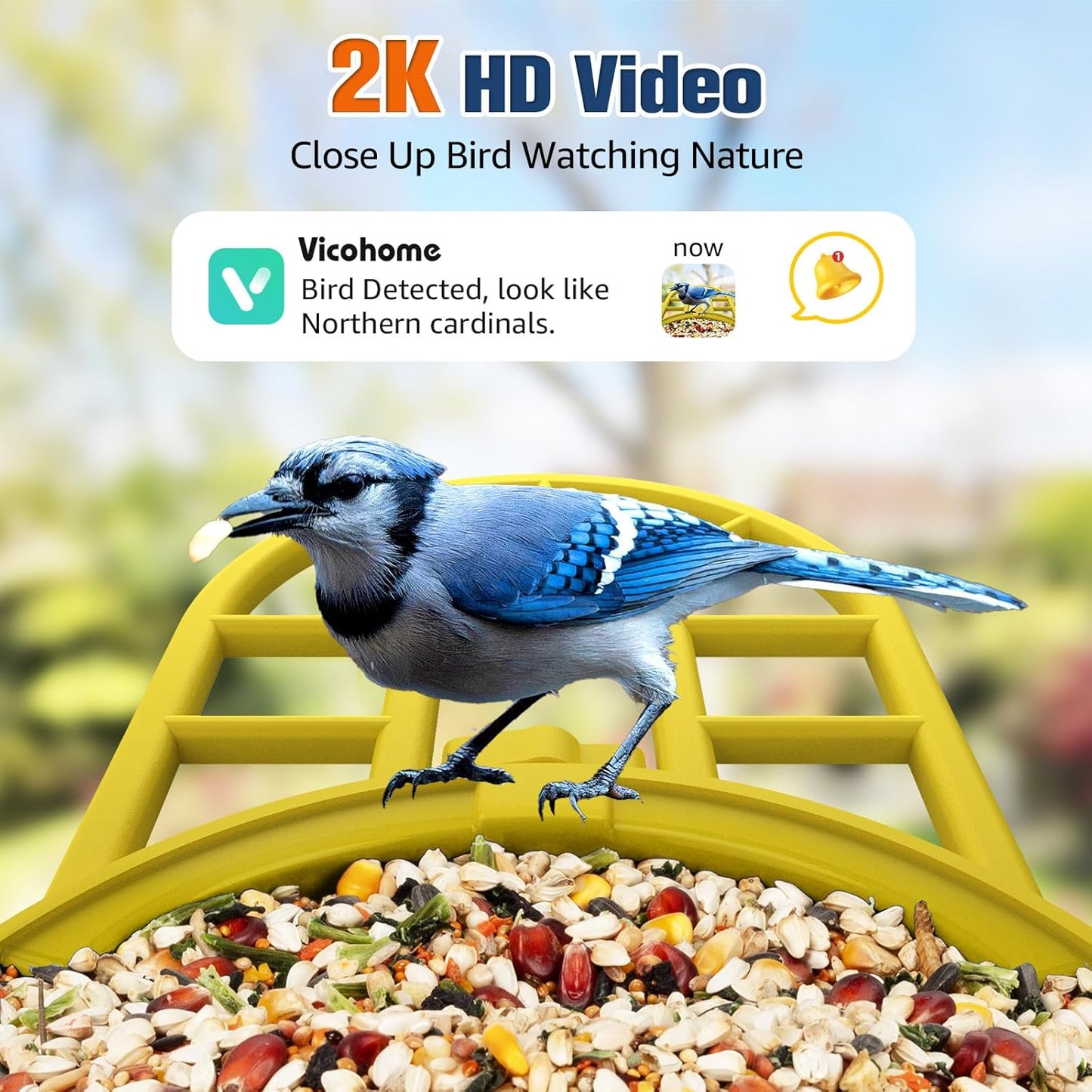 PeckCam® Bird Feeder with Camera with AI Identify 10000+ Birds Species, 3 Solar Panels, 2K Live View, Instant Arrival Alerts, Smart Bird House with Cam, Gift for Bird Lovers