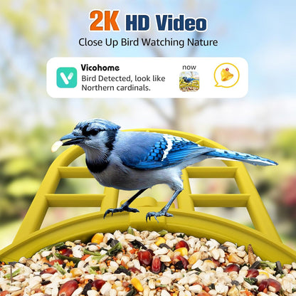 PeckCam® Bird Feeder with Camera with AI Identify 10000+ Birds Species, 3 Solar Panels, 2K Live View, Instant Arrival Alerts, Smart Bird House with Cam, Gift for Bird Lovers