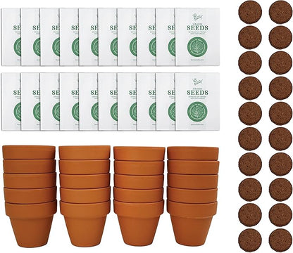 BUZZY Seeds Terracotta Mini Grow Pots | Herb, Plant, Flower Starter Kit for Kids & Adults | Assorted 20-Pack, | Lavender Seeds Guaranteed to Grow | Indoor Grow Your Own Plant Gardening Gift