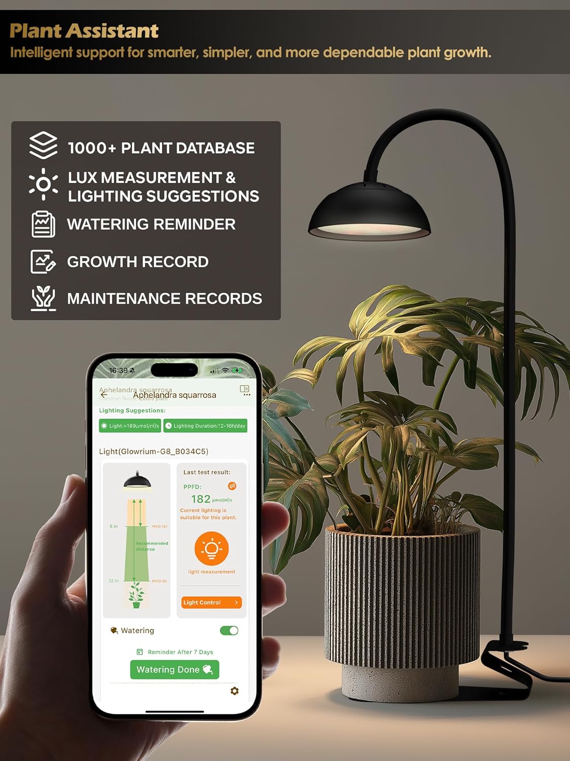 GLOWRIUM Smart Grow Lights for Indoor Plants,10W Full Spectrum LED Plant Light with 3/9/12 Timer,10 Dimmable Levels,Height Adjustable Grow Light with Base (Black)