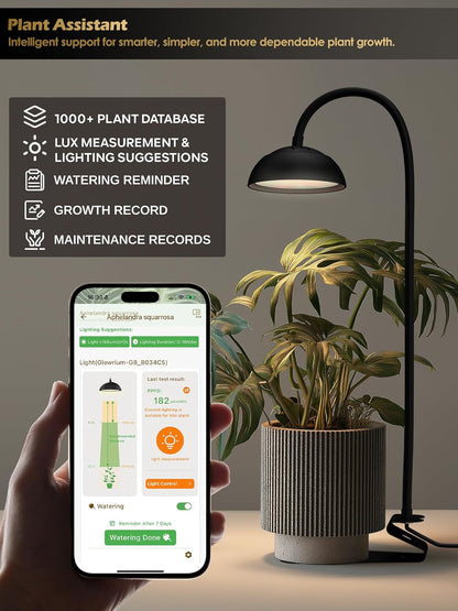 GLOWRIUM Smart Grow Lights for Indoor Plants,10W Full Spectrum LED Plant Light with 3/9/12 Timer,10 Dimmable Levels,Height Adjustable Grow Light with Base (Black)