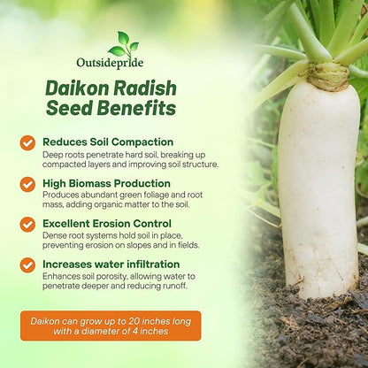Outsidepride Annual Daikon Radish Seeds - 1 lb. Chinese, Japanese, & Oriental Radish Seeds for Soil Health, Erosion Control, & Soil Aeration - Ideal for Gardens, Cover Crops, Pastures, & Food Plots
