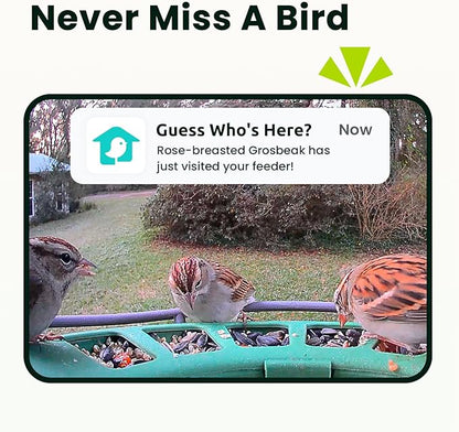 Birdfy 2 Smart Bird Feeder with Camera, AI Identifies Bird Species, 2K Dual-Lens + Side HD Camera for Live Streaming & Feeding View, Solar-Powered Backyard Birdwatching Gift Present